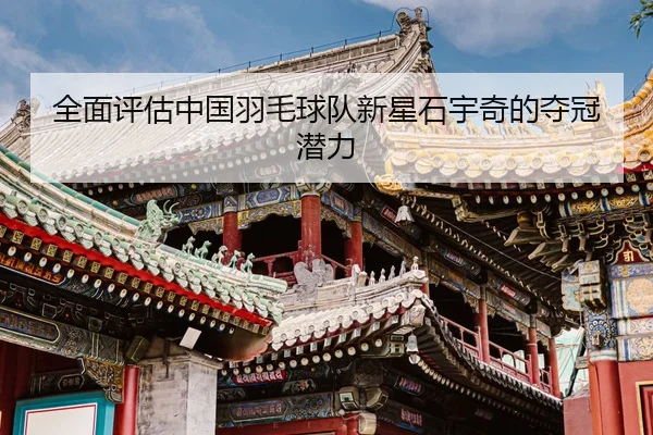 全面评估中国羽毛球队新星石宇奇的夺冠潜力
