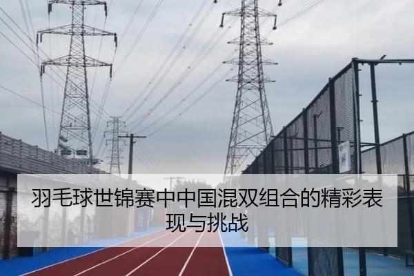 羽毛球世锦赛中中国混双组合的精彩表现与挑战